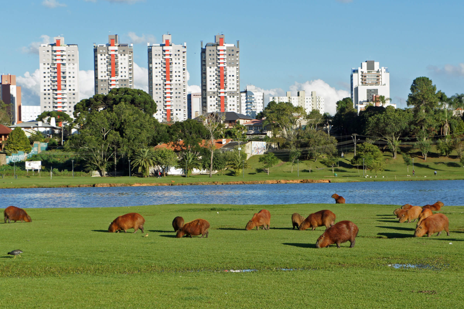 Parques de Curitiba